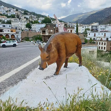Cortijo Molino Altero