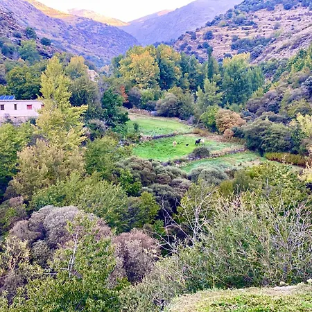 Cortijo Molino Altero *